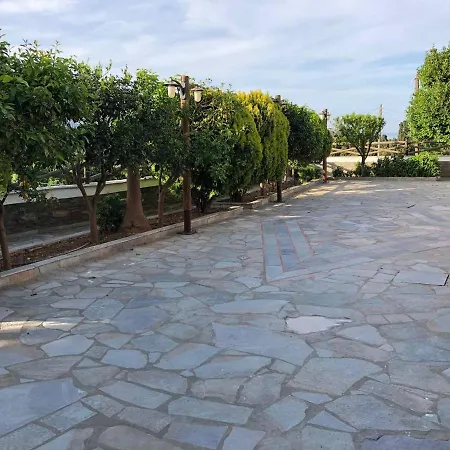 Villa Stone Nest Andros Livadia (Andros)